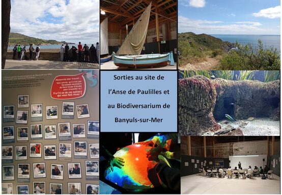 Sorties des classes de 4° au site de Paulilles et au biodiversarium.